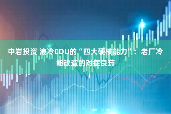 中岩投资 液冷CDU的“四大硬核能力”：老厂冷能改造的对症良药